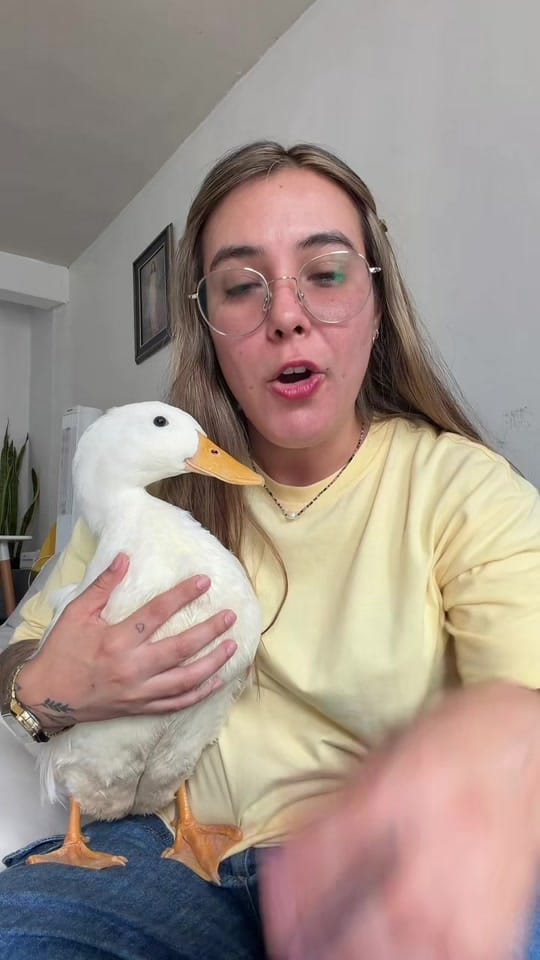 Post 7 by Mariam Leal🪿 on TikTok (video)