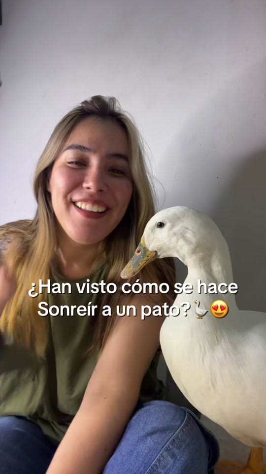 Post 8 by Mariam Leal🪿 on TikTok (video)