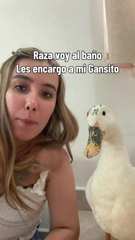 Post 2 by Mariam Leal🪿 on TikTok (video)