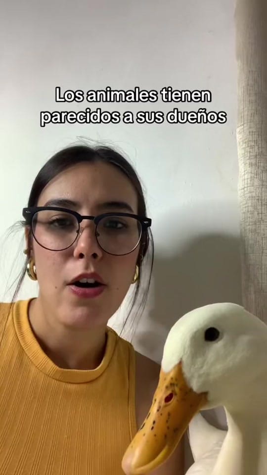 Post 10 by Mariam Leal🪿 on TikTok (video)