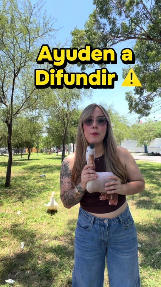 Post 3 by Mariam Leal🪿 on TikTok (video)