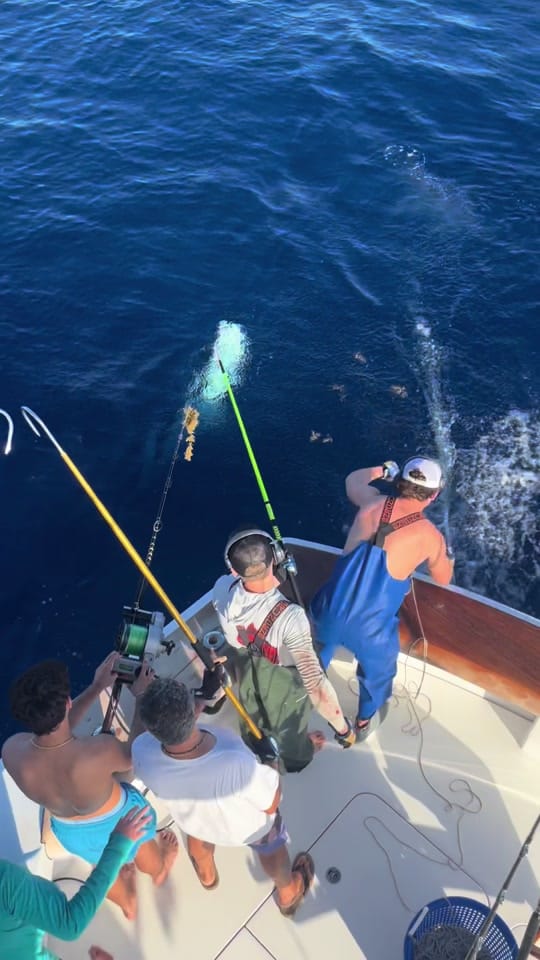 Post 7 by Sebastian Poorani on TikTok (video)