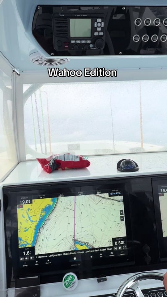 Post 4 by Sebastian Poorani on TikTok (video)