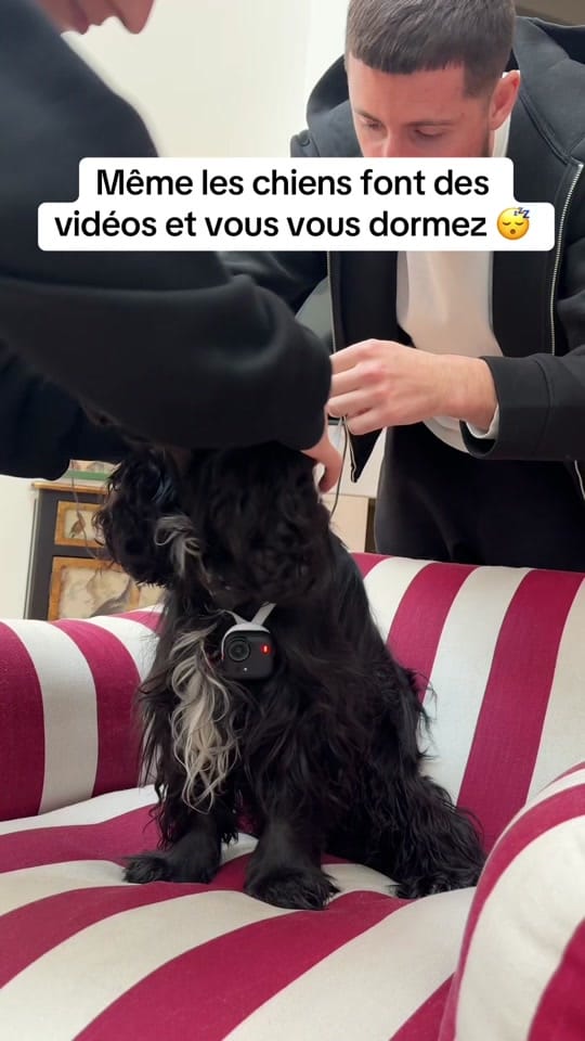 Post 9 by Masto on TikTok (video)