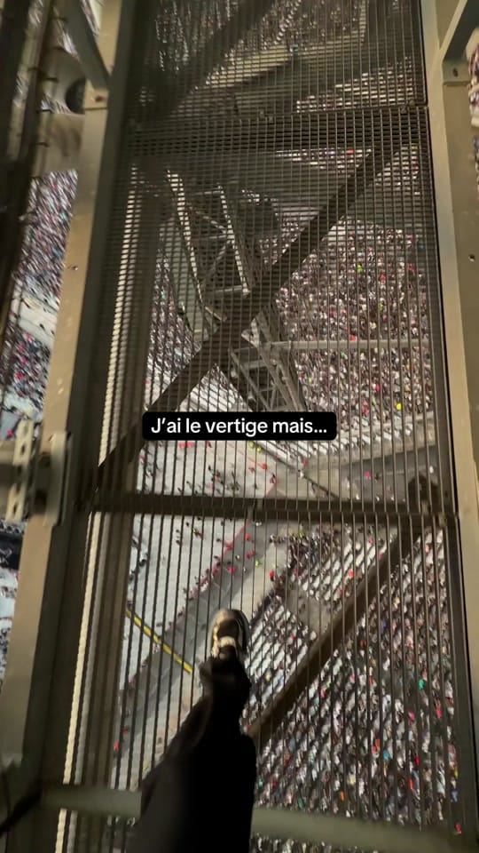 Post 2 by Masto on TikTok (video)