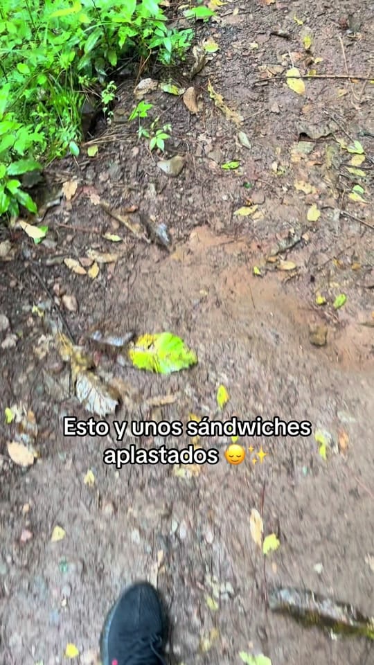 Post 7 by Laura Arriaga on TikTok (video)