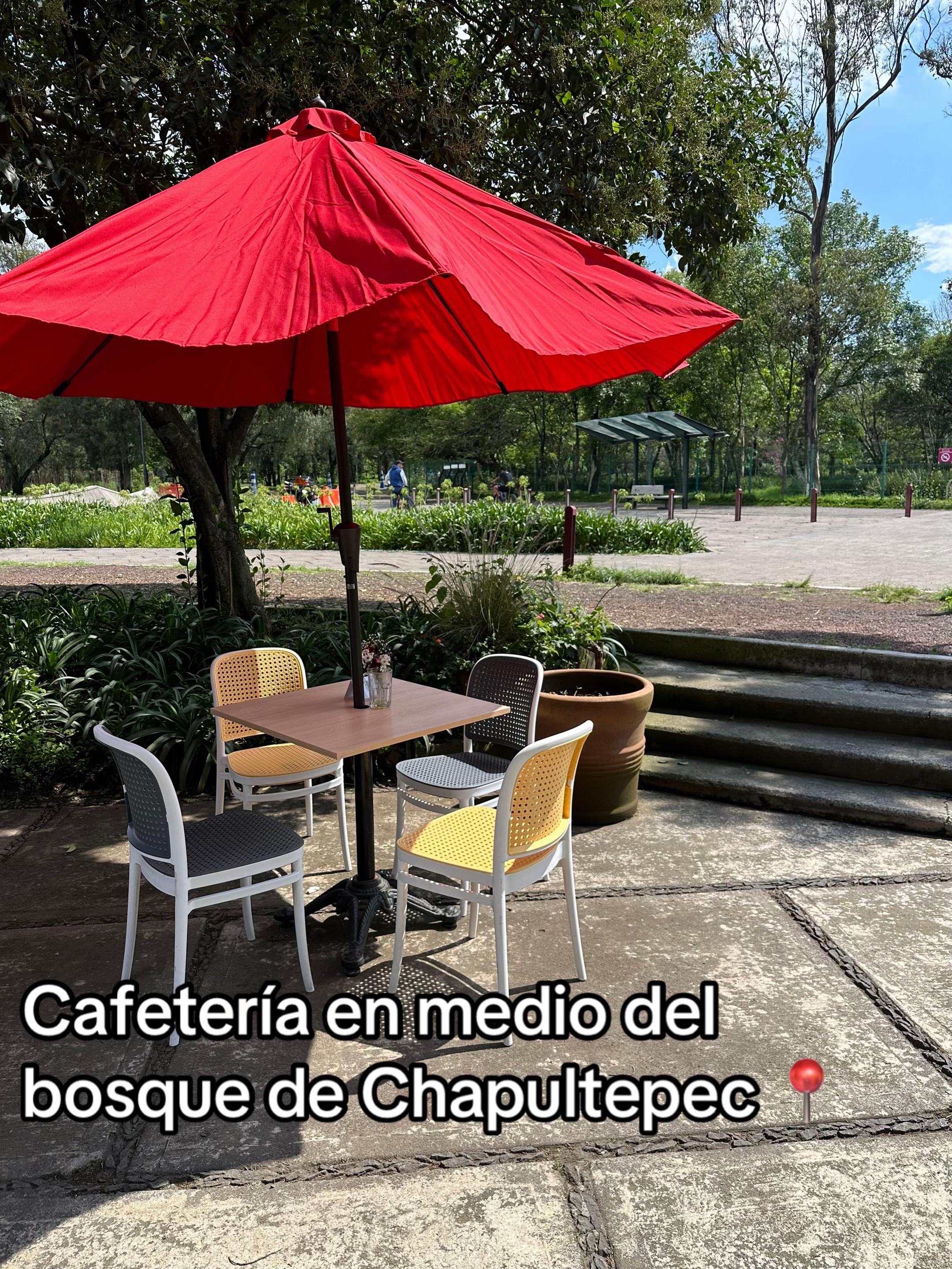 Post 8 by Laura Arriaga on TikTok (video)