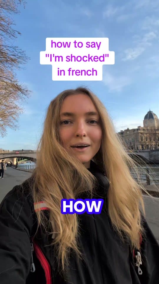 Post 9 by Français avec Chat Papote on TikTok (video)