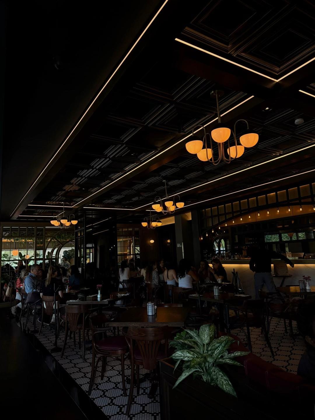 Post 6 by Ani Chapa on TikTok (video)