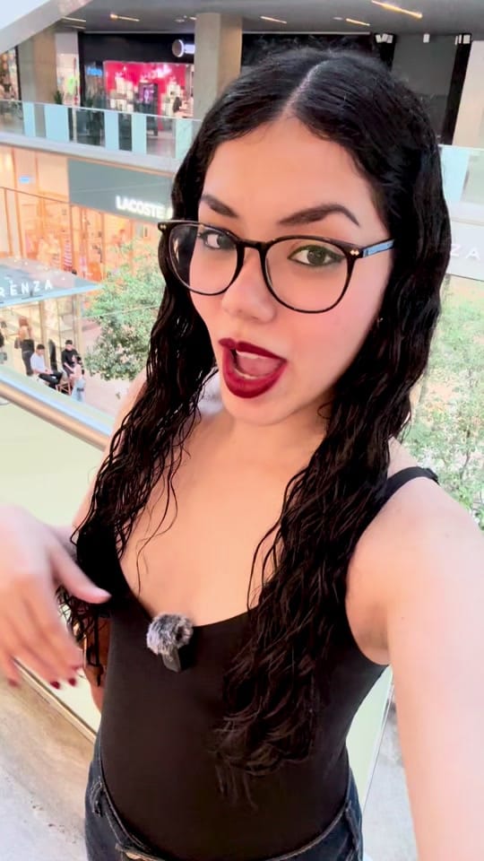Post 5 by Ani Chapa on TikTok (video)