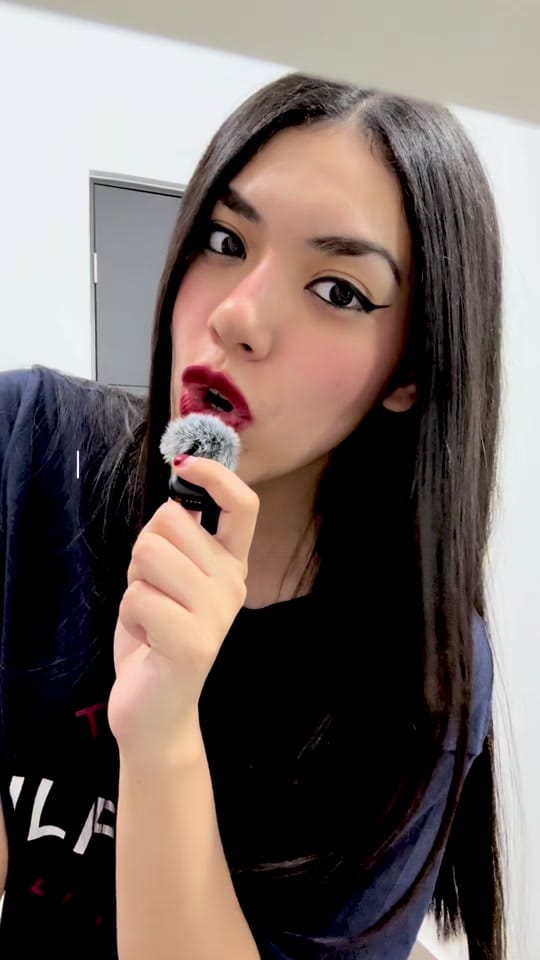 Post 3 by Ani Chapa on TikTok (video)