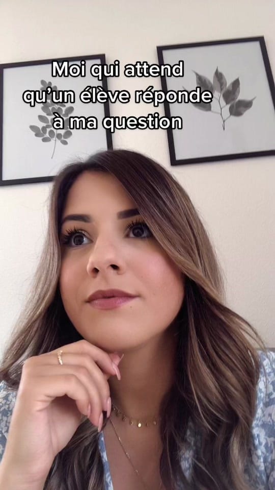 Post 1 by Carnetduneprof on TikTok (video)
