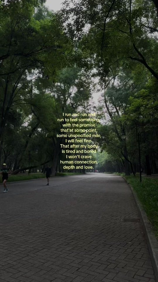 Post 3 by becca | writer in mexico on TikTok (video)