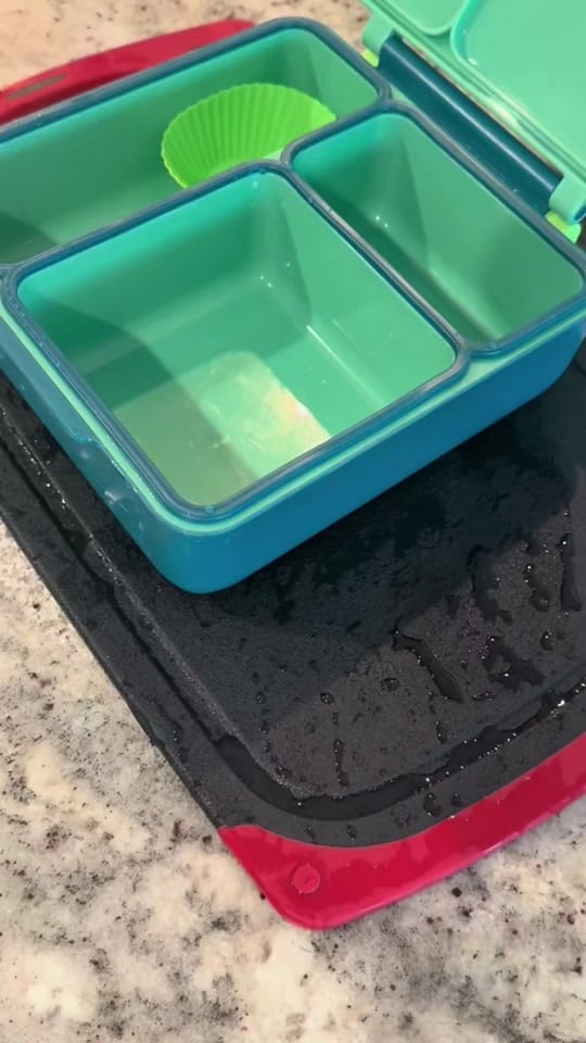 Post 4 by lizguzman | SAHM 🌙✨ on TikTok (video)