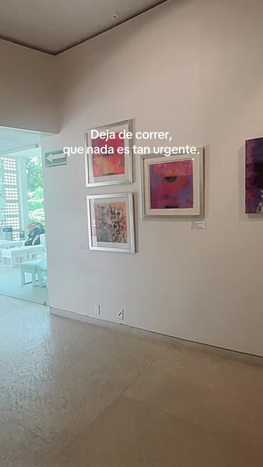 Post 7 by Milena Albar 🌸 on TikTok (video)