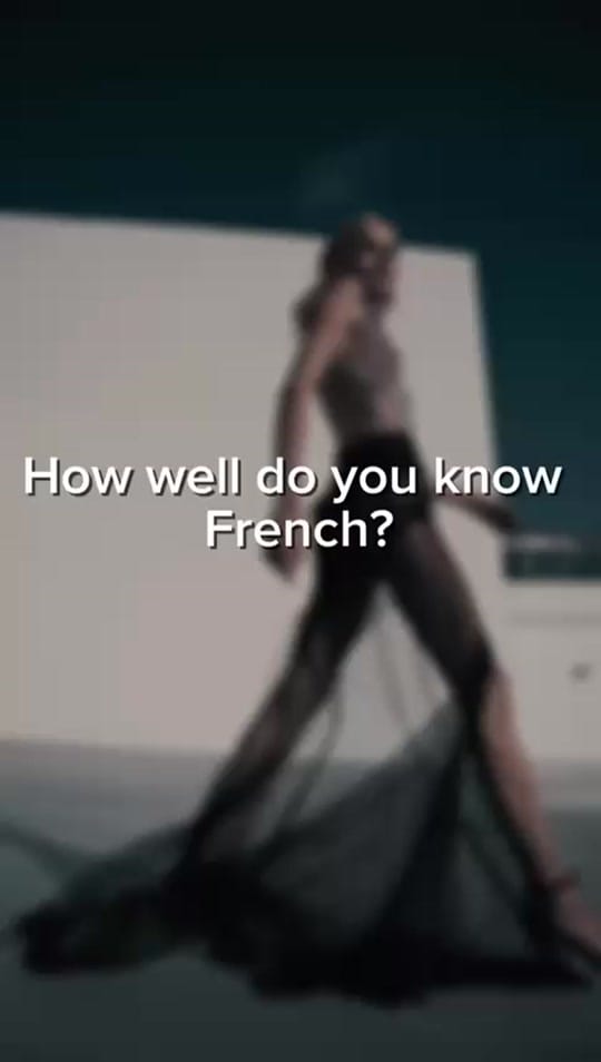 Post 1 by French with S.L.Immersion 🇨🇵 on TikTok (video)