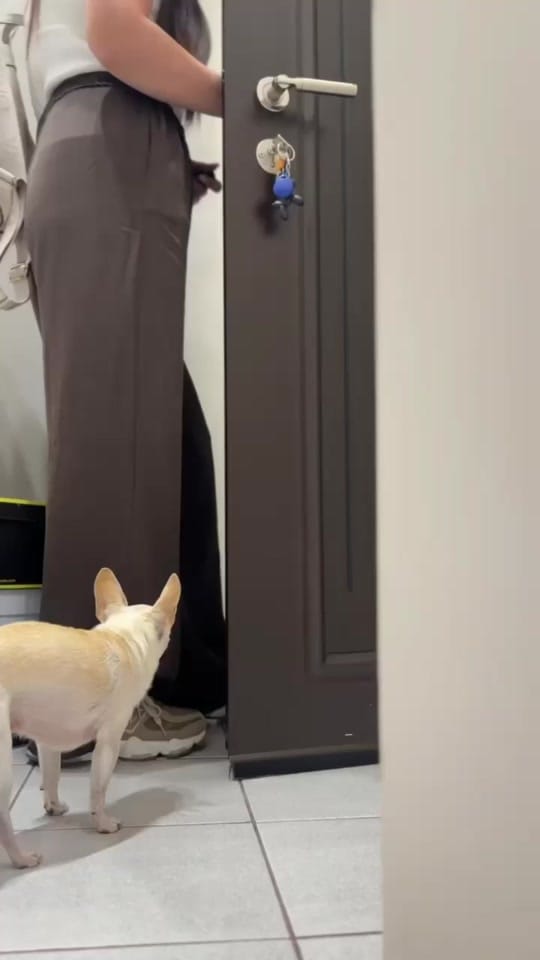 Post 6 by 🐶 КУЧЕ БЛОГЪР/ UGC Creator 🐾 on TikTok (video)