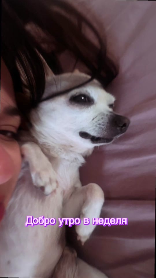 Post 3 by 🐶 КУЧЕ БЛОГЪР/ UGC Creator 🐾 on TikTok (video)