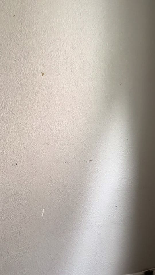 Post 6 by Martinique Miller Photography on TikTok (video)