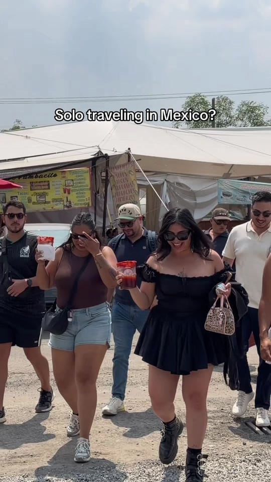 Post 7 by La Fête Sauvage on TikTok (video)