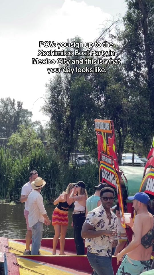 Post 10 by La Fête Sauvage on TikTok (video)