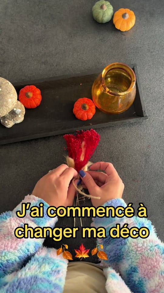 Post 8 by sacha_code on TikTok (video)
