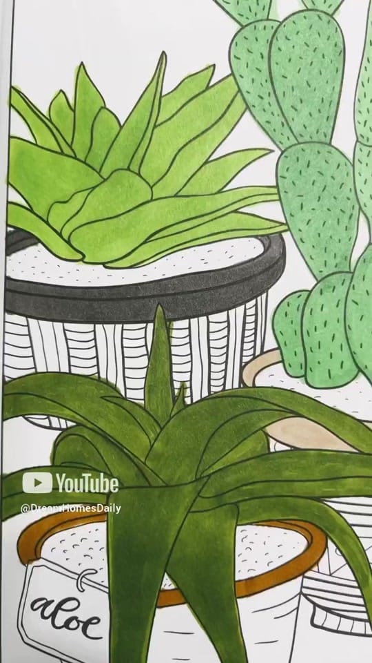 Post 3 by Mary!🏞️🌄 on TikTok (video)