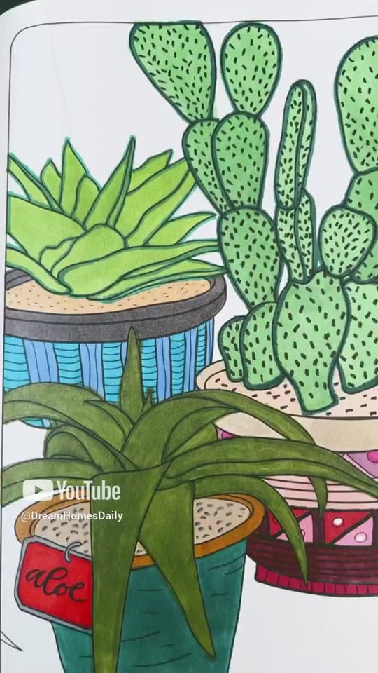 Post 2 by Mary!🏞️🌄 on TikTok (video)