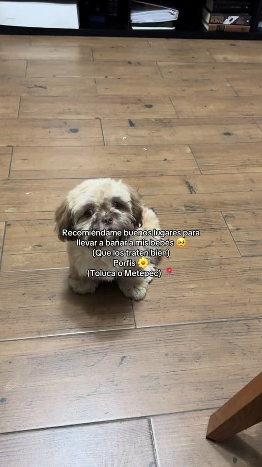 Post 2 by LIZZIEVLOGS📸 on TikTok (video)