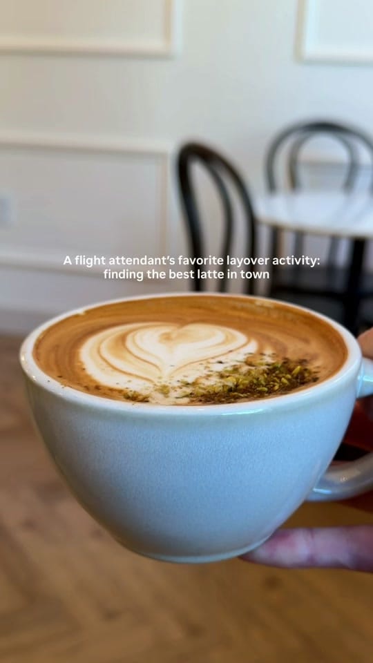 Post 6 by Kara Metzger on TikTok (video)