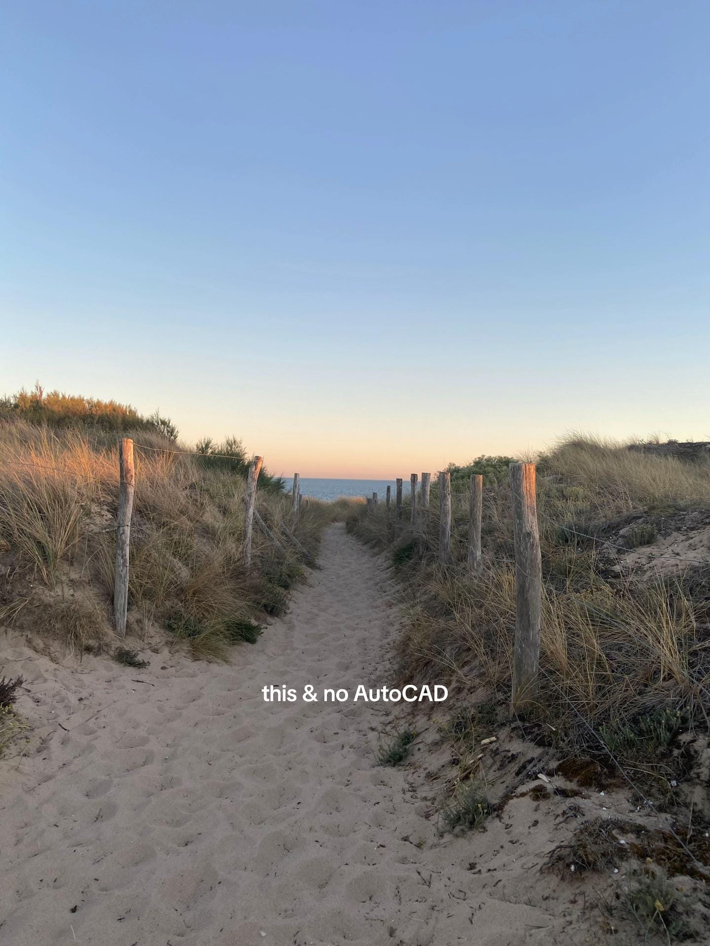 Post 10 by celine🪻 on TikTok (video)