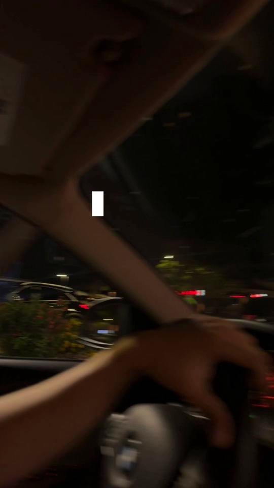 Post 3 by Andrea Leon on TikTok (video)