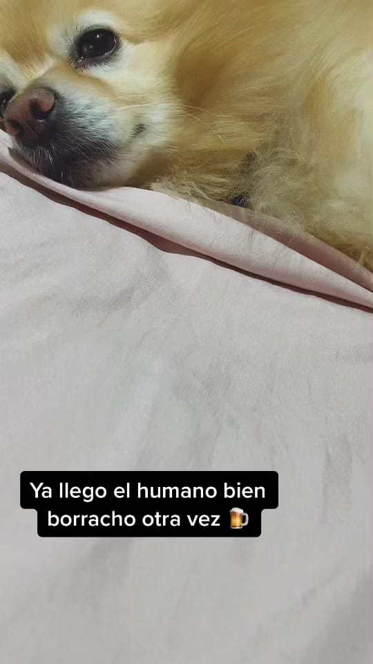 Post 7 by Mayra Rodríguez on TikTok (video)