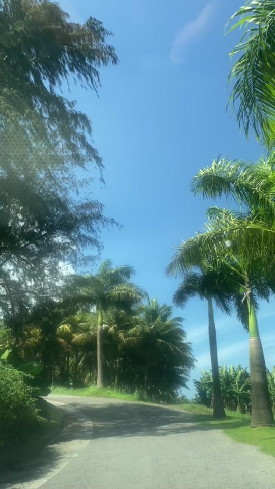 Post 10 by Naojoe on TikTok (video)