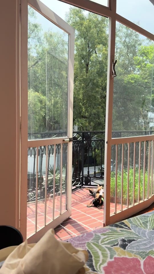 Post 5 by Zeineth on TikTok (video)