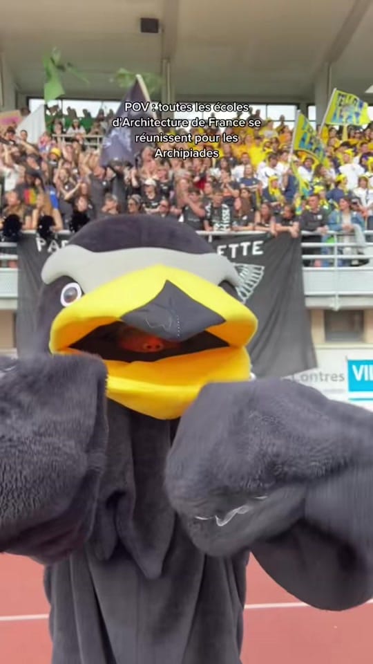 Post 6 by HELMA on TikTok (video)