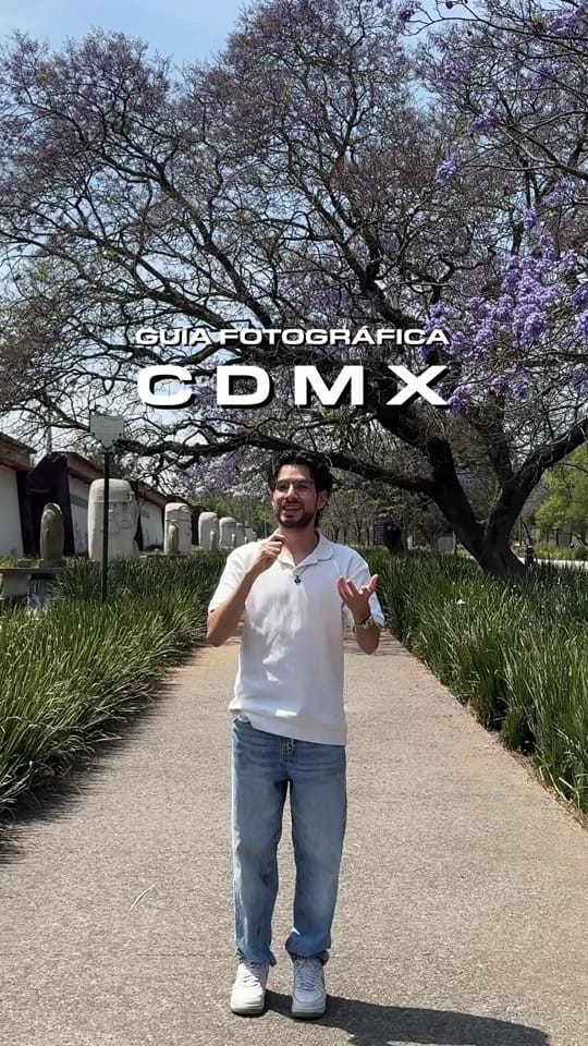 Post 4 by Reygo on TikTok (video)