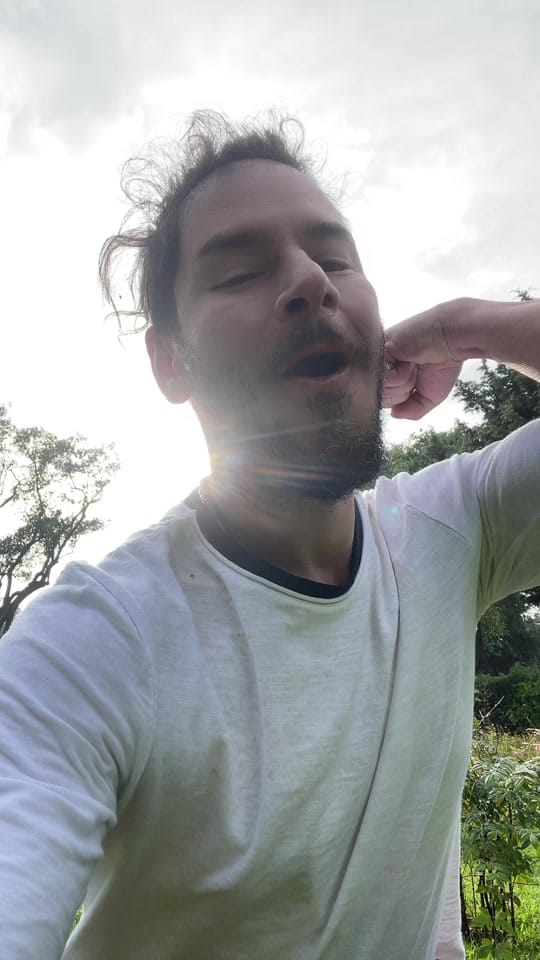 Post 5 by Alejandro Danel on TikTok (video)