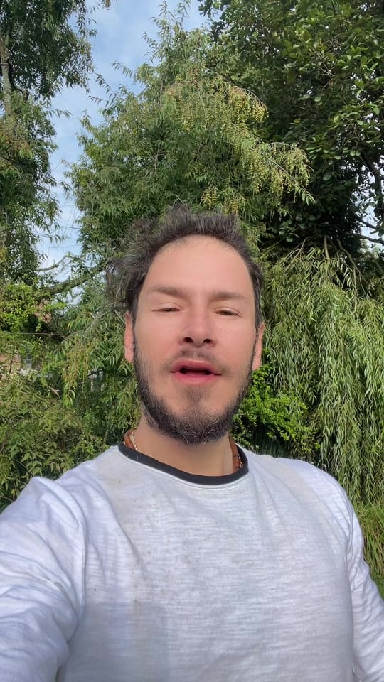 Post 3 by Alejandro Danel on TikTok (video)