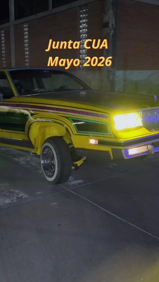 Post 4 by Vw Lovers MX on TikTok (video)