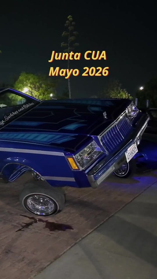 Post 10 by Vw Lovers MX on TikTok (video)