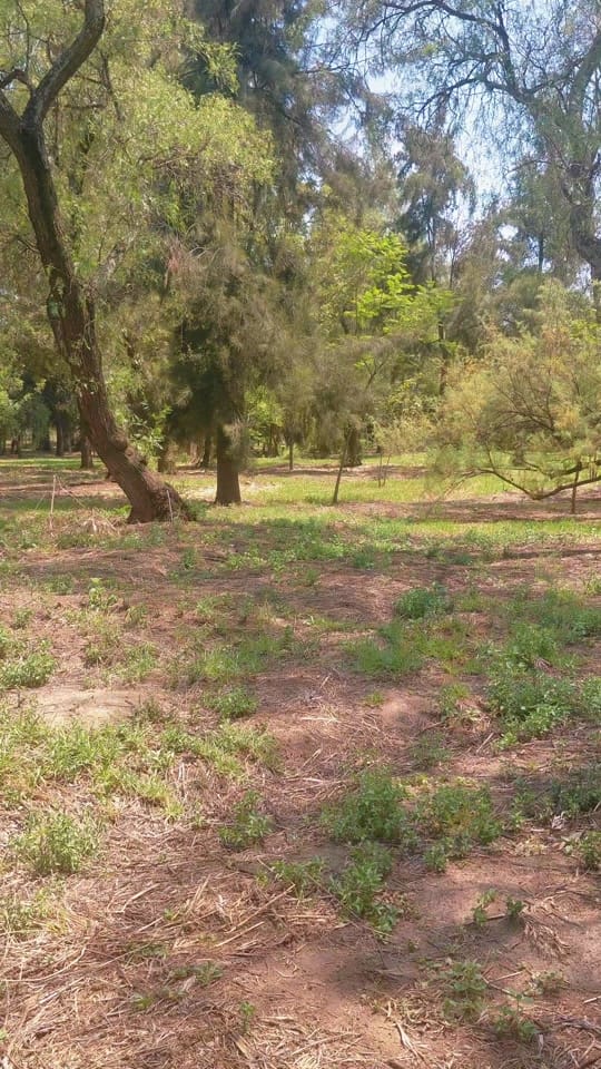 Post 9 by Antonreenactor on TikTok (video)