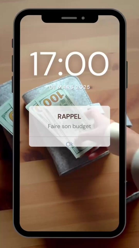 Post 8 by BudgetiserCooperer s’Organiser on TikTok (video)