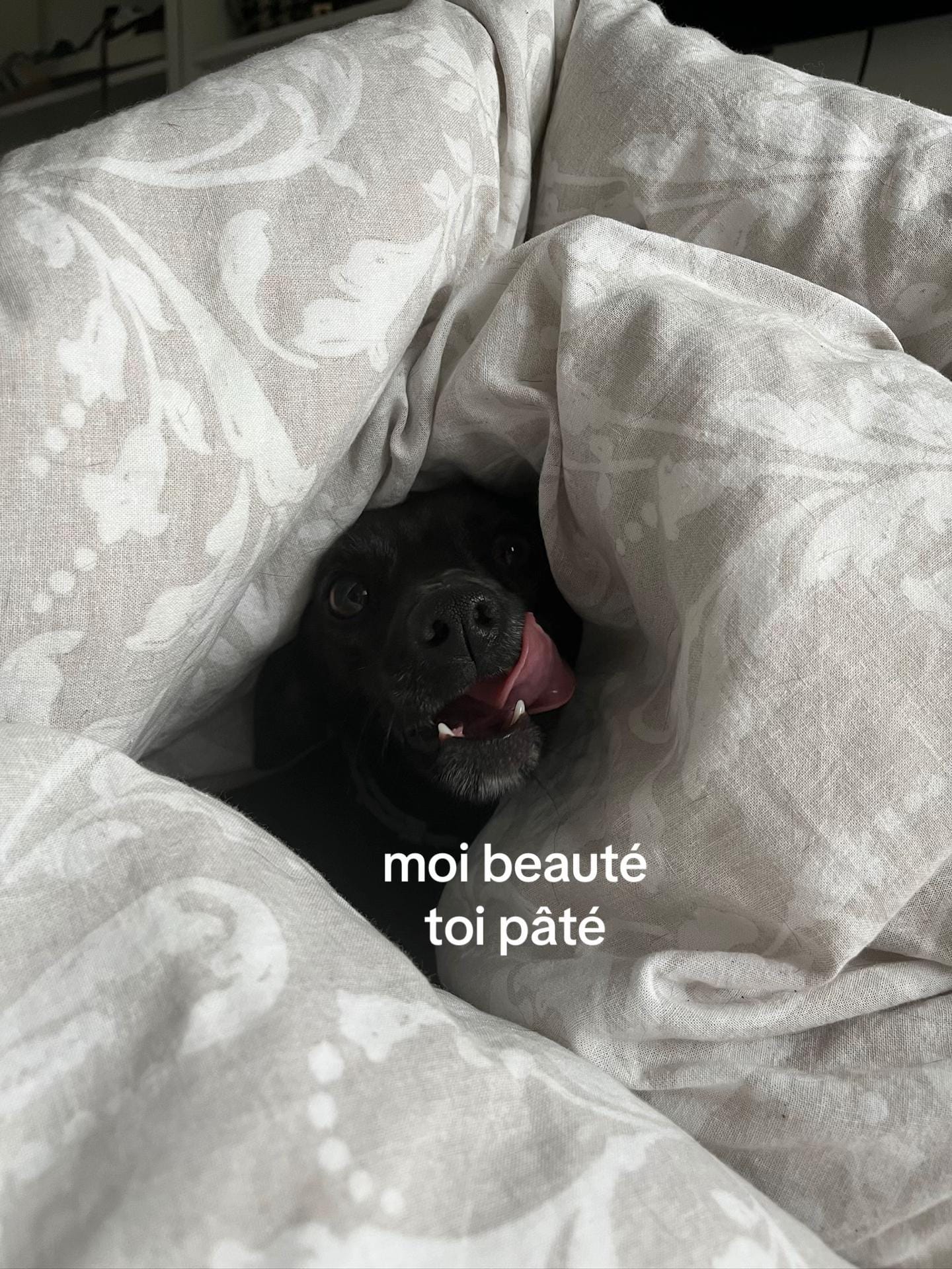 Post 7 by agathe.sketchdesign on TikTok (video)