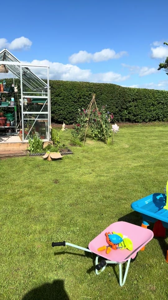 Post 6 by Sadie | Garden | Home |MomLife on TikTok (video)