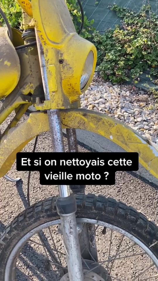 Post 8 by OscArt on TikTok (video)