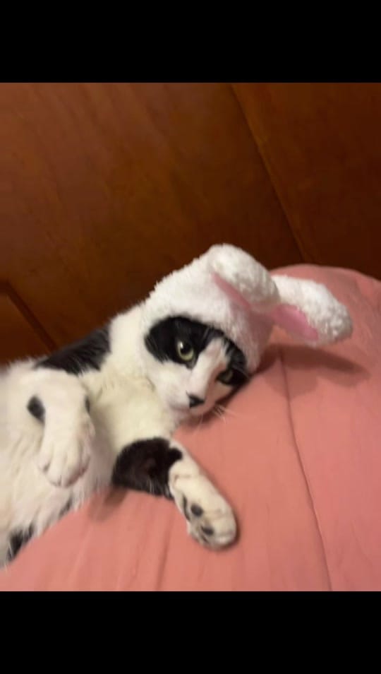 Post 3 by Miroslava Gallo ★ on TikTok (video)