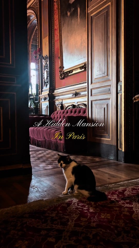 Post 3 by myparisianlist on TikTok (video)