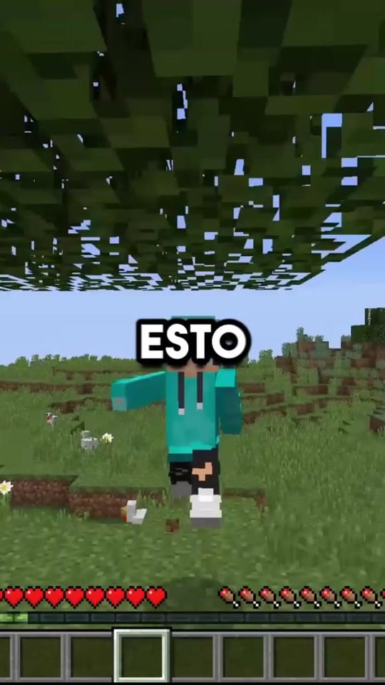 Post 10 by AGVnmgv on TikTok (video)