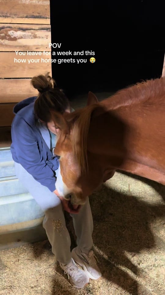 Post 10 by bcbingham on TikTok (video)